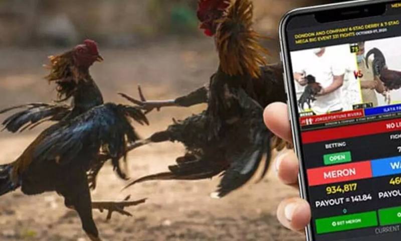 Bản chất thật sự của đá gà online