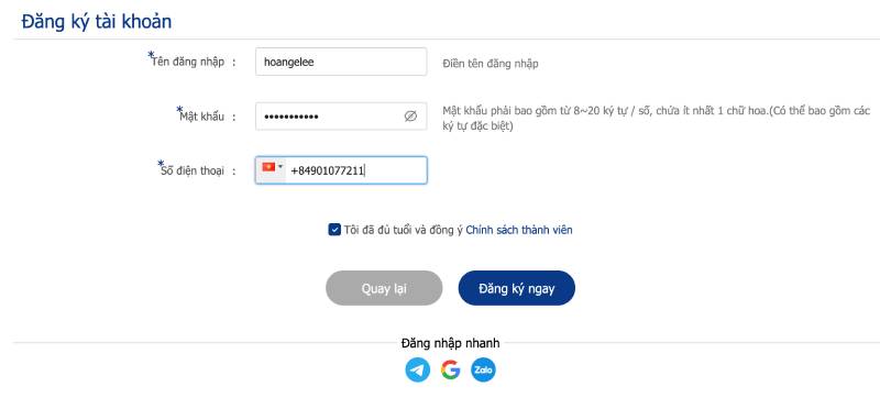 Bước 1: Điền thông tin vào biểu mẫu - Mẹo từ chuyên gia
