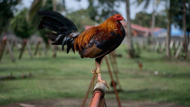 Chăm sóc sức khỏe – yếu tố không thể xem nhẹ