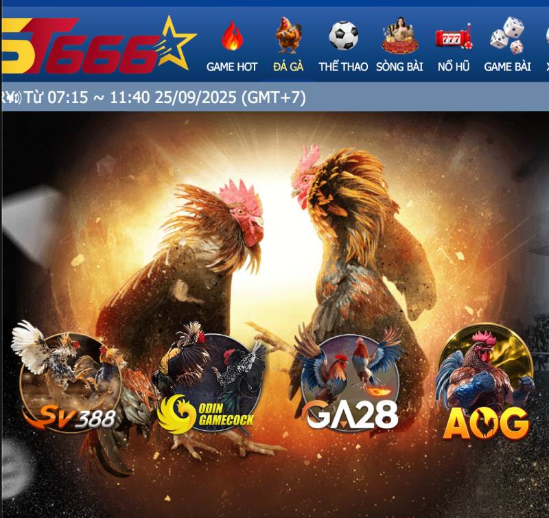 Hướng dẫn cách tham gia đá gà tại ST666