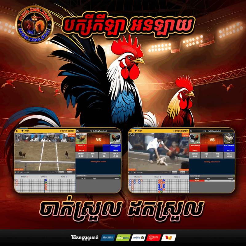 Làm sao để tránh bị lừa khi chơi đá gà trực tuyến?