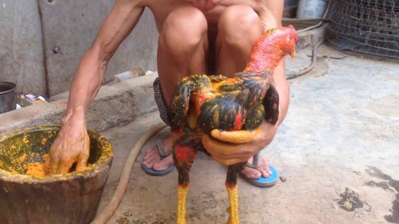 Quá trình om luyện 