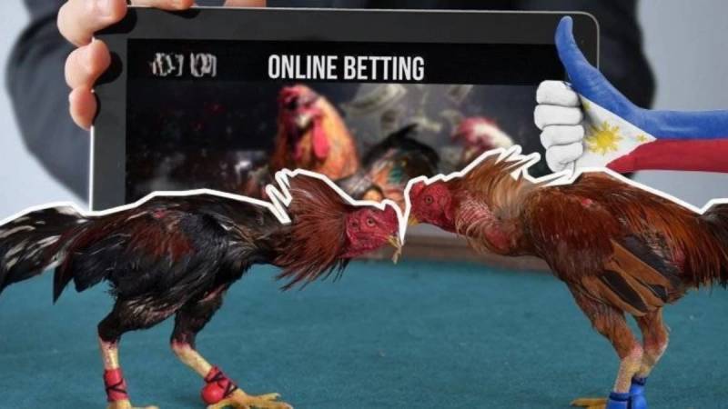 Vì sao nhiều người vẫn bị lừa khi chơi đá gà online?